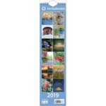 Ajasto Kotimuistio 2024 seinäkalenteri 110 x 432mm