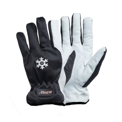 GlovesPro® DEX11 talvityökäsine koko 10